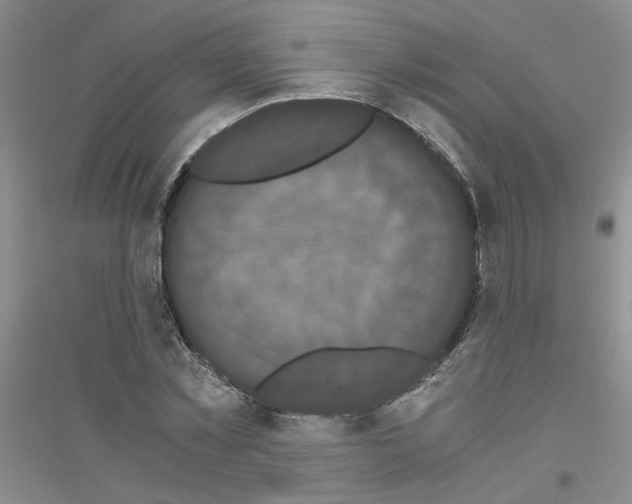 X0000116760781201001281611