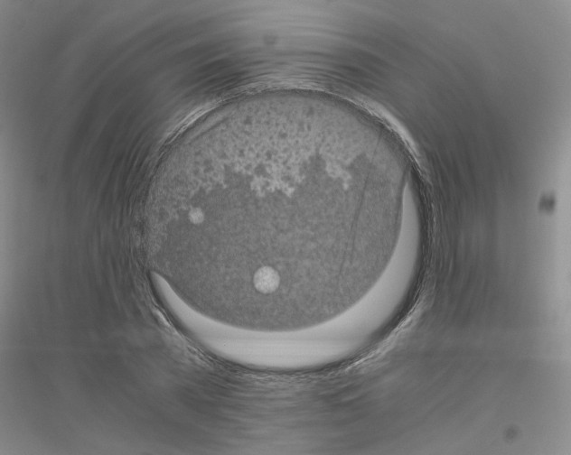 X0000116760785201001281611