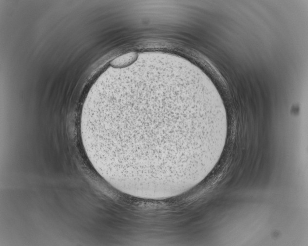 X0000116760786201001281611