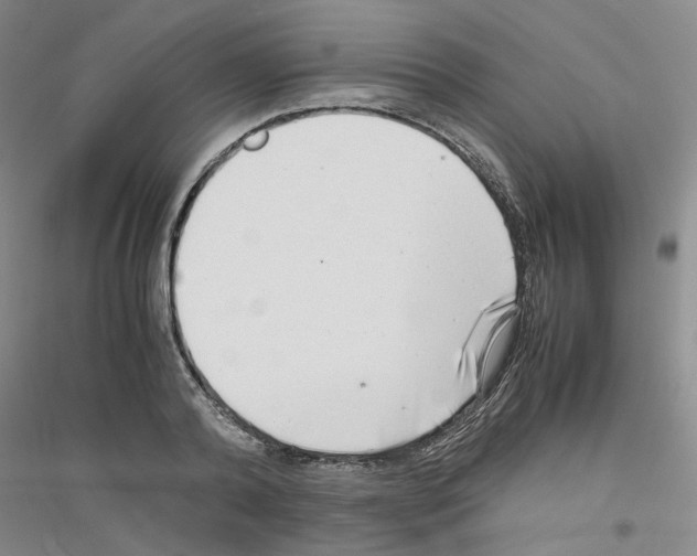 X0000116760792201001281611