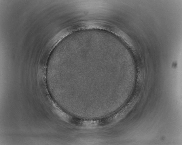 X0000116760793201001281611