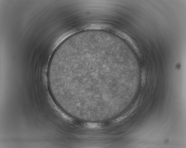 X0000116760794201001281611