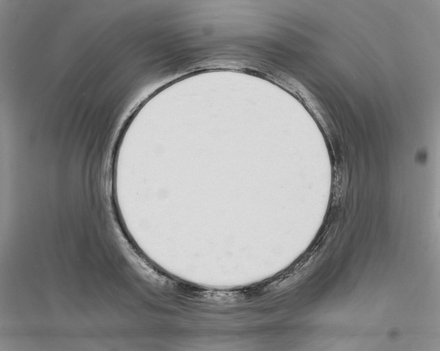 X0000116760795201001281611