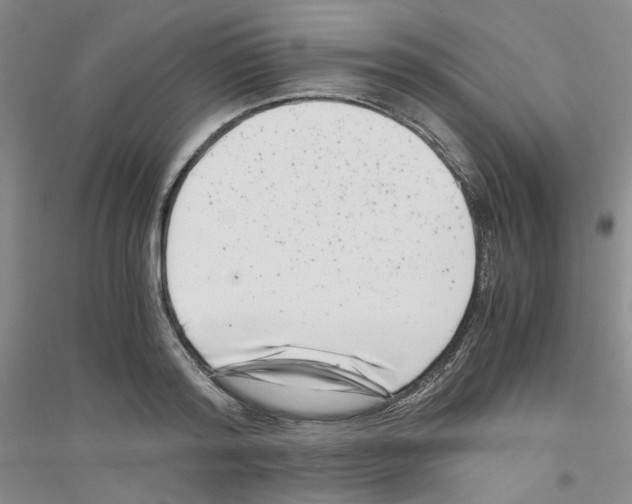 X0000116760796201001281611