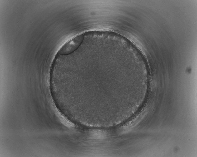 X0000116760797201001281611