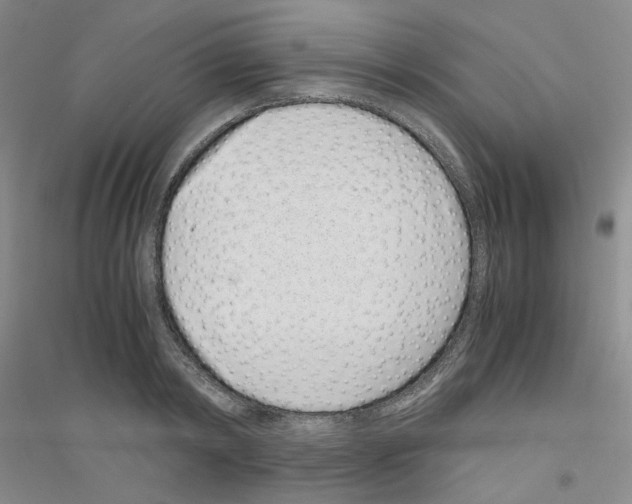 X0000116760798201001281611