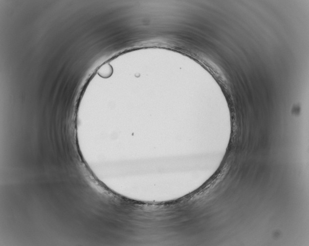 X0000116760800201001281611