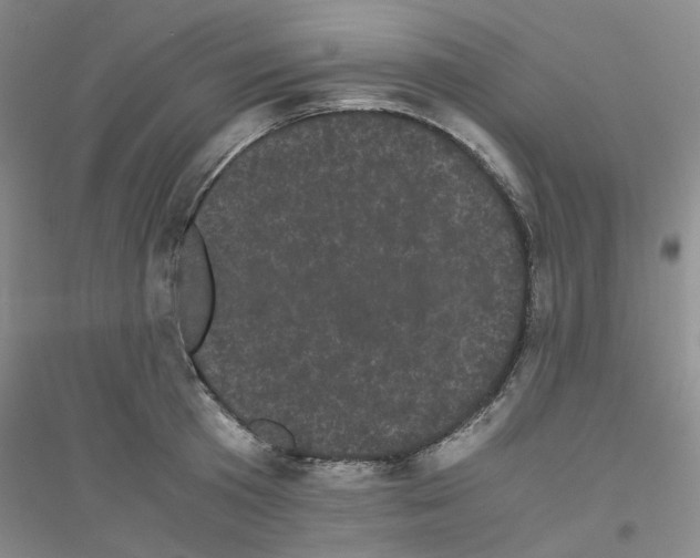 X0000116760801201001281611