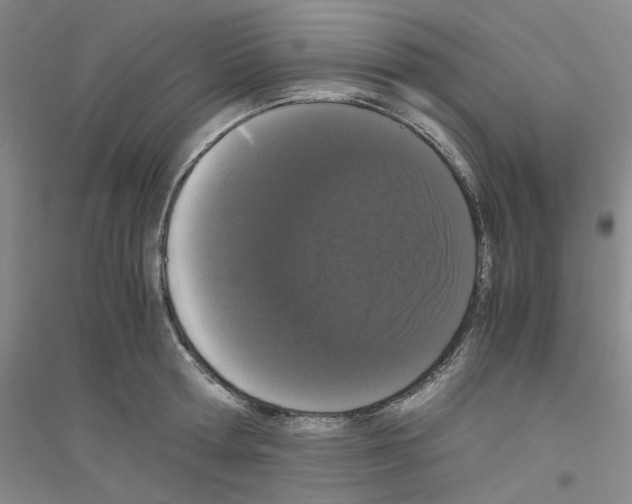 X0000116760802201001281611