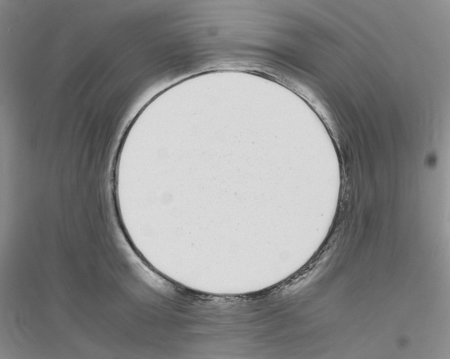 X0000116760803201001281611