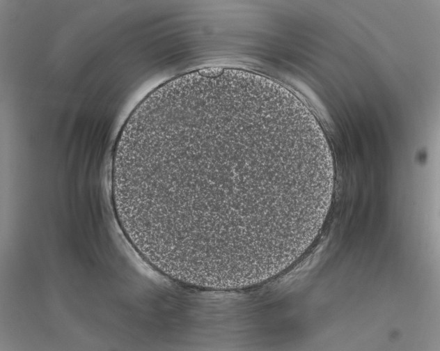 X0000116760804201001281610