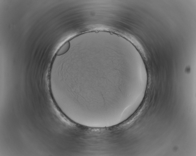 X0000116760806201001281610