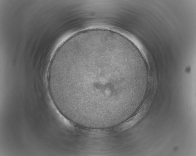 X0000116760807201001281610