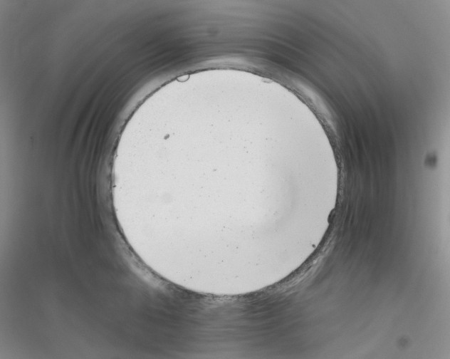 X0000116760808201001281610