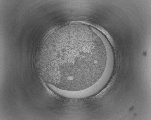 X0000116760809201001281610