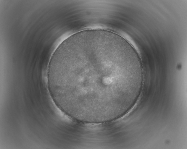 X0000116760810201001281610