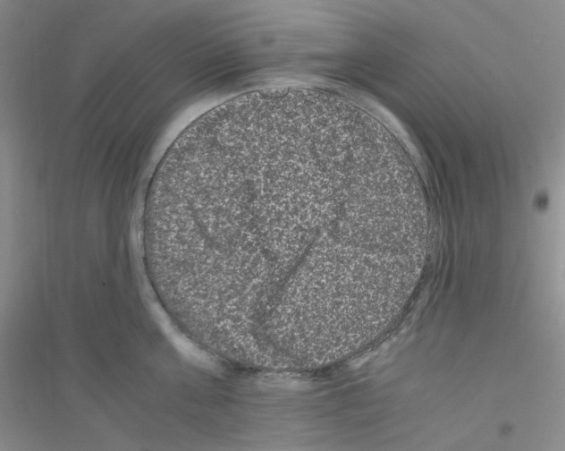 X0000116760811201001281610