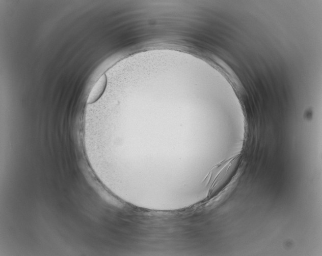 X0000116760812201001281610