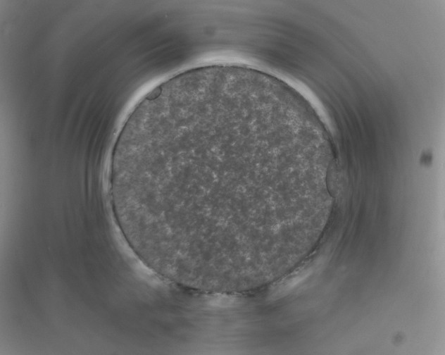 X0000116760815201001281610