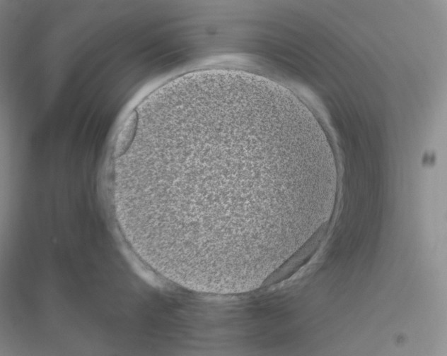 X0000116760816201001281610