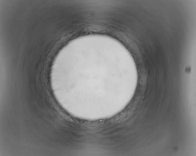 X0000116760817201001281610