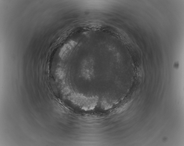 X0000116760818201001281610