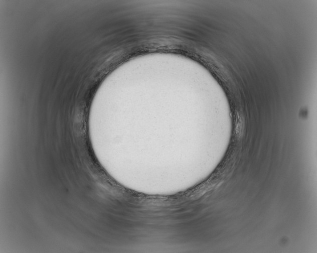 X0000116760819201001281610