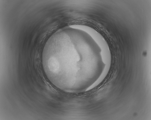 X0000116760820201001281610