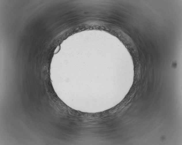 X0000116760821201001281610