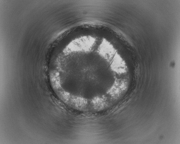 X0000116760822201001281610