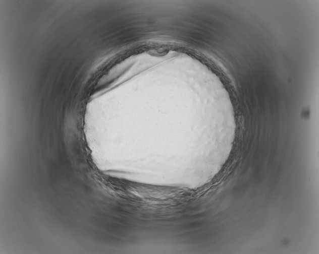 X0000116760823201001281610