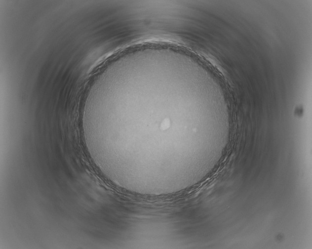 X0000116760824201001281610