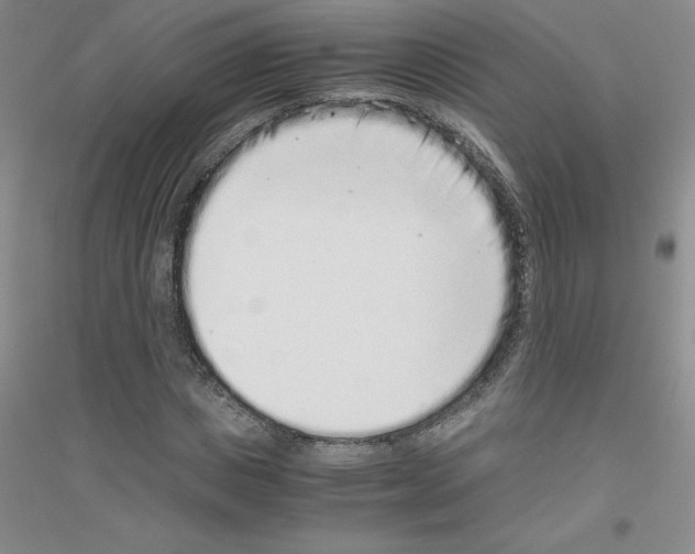 X0000116760825201001281610