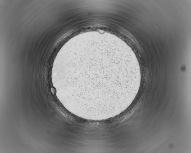 X0000116760826201001281610