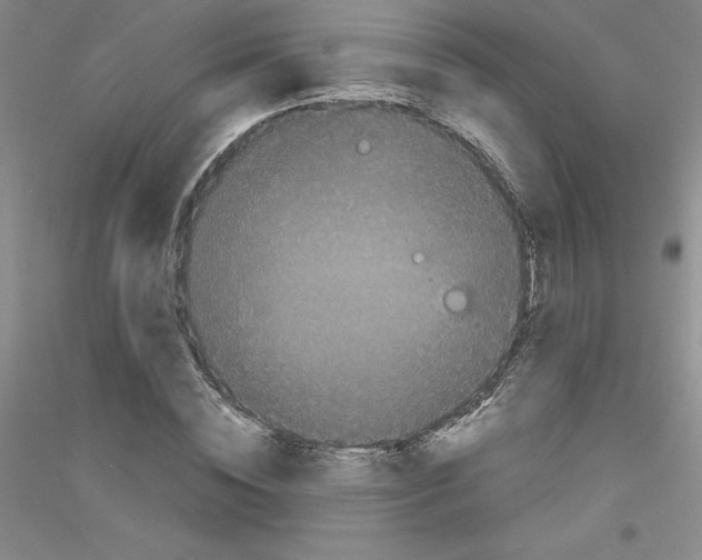 X0000116760828201001281610