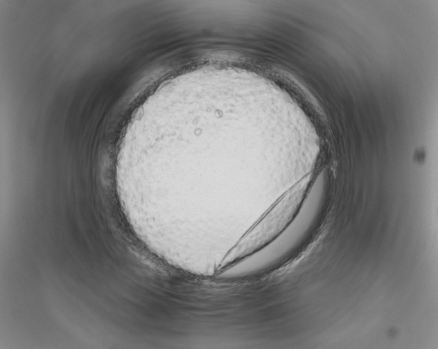 X0000116760829201001281610