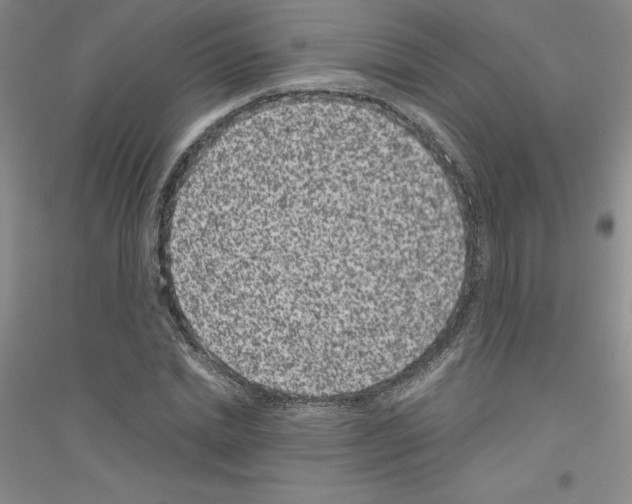 X0000116760830201001281610