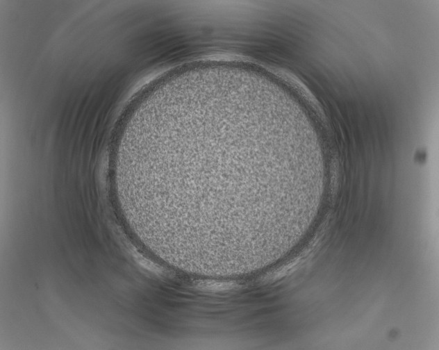 X0000116760831201001281610