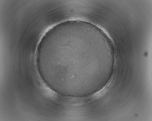 X0000116760832201001281610