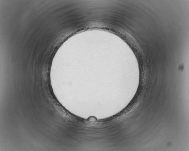 X0000116760833201001281610