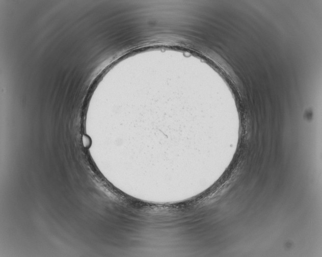 X0000116760834201001281610