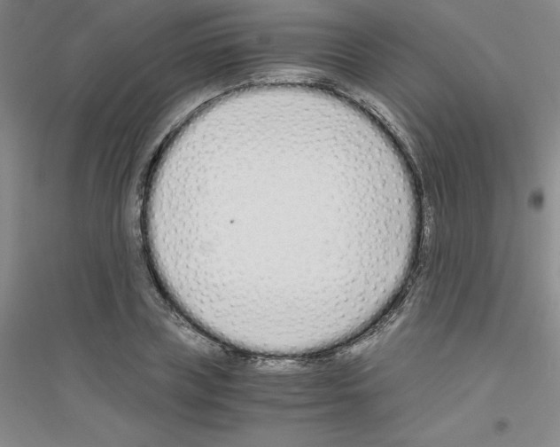 X0000116760835201001281610