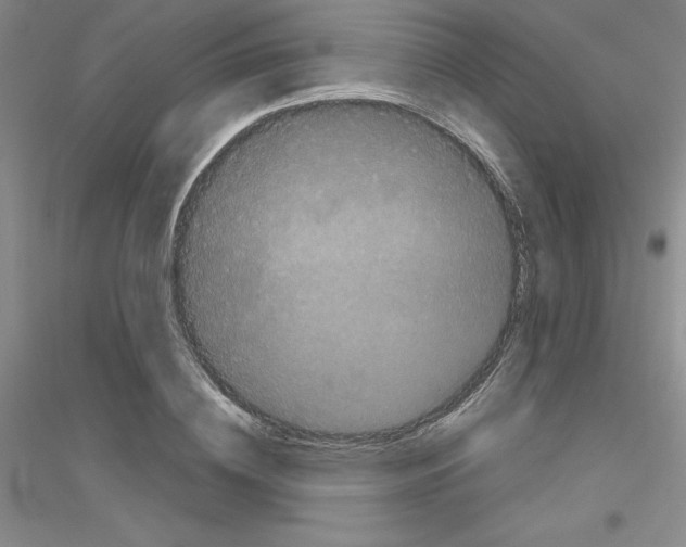 X0000116760836201001281610