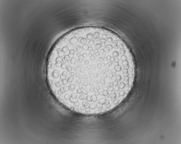 X0000116760838201001281610