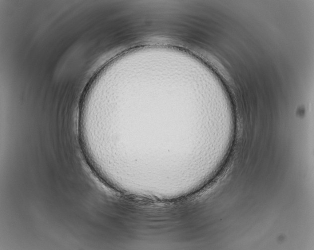 X0000116760839201001281610