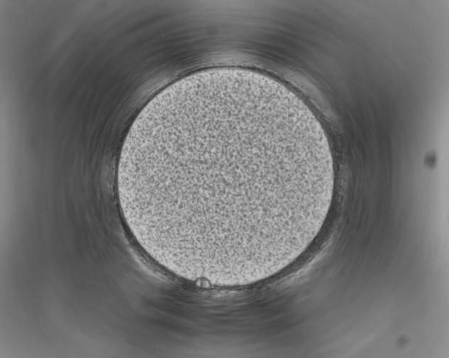 X0000116760841201001281610