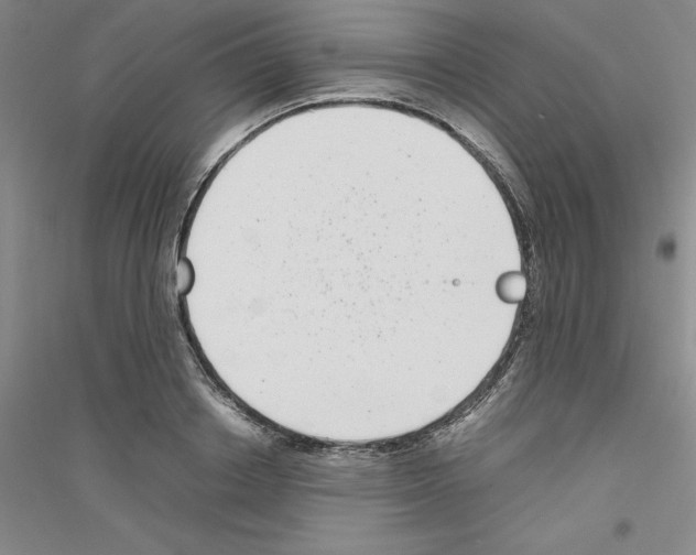 X0000116760842201001281610