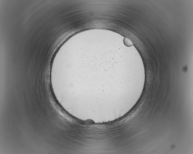 X0000116760844201001281610