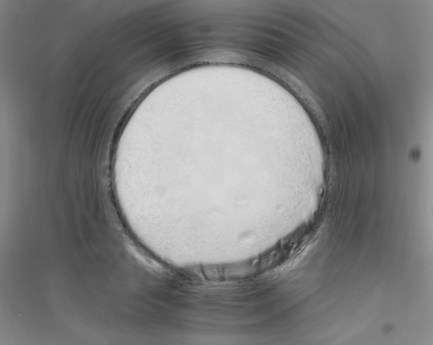 X0000116760845201001281610