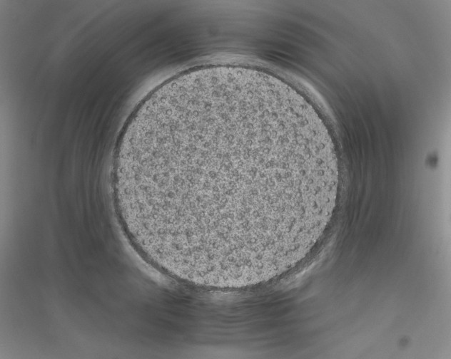 X0000116760847201001281610